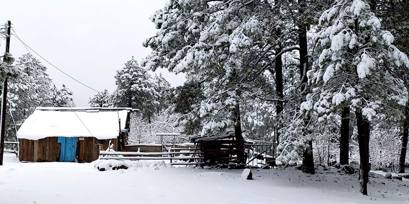 Cae primera nevada de la temporada en Durango