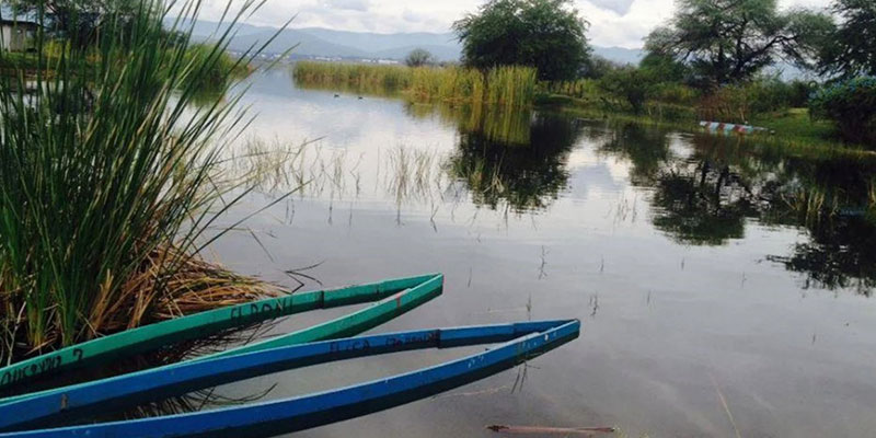 Piden a las autoridades frenar las descargas de drenaje, afecta a la laguna de Coatetelco